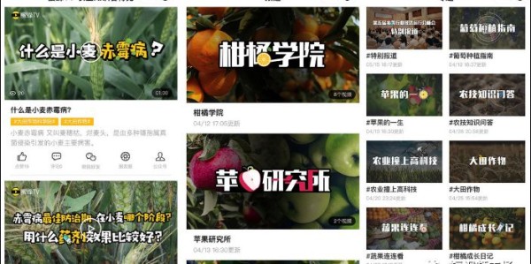  德甲联盟与抖音达成新媒体转播协议  